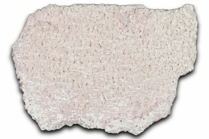 Pink Halite Crystal Cluster - Trona, California #347183
